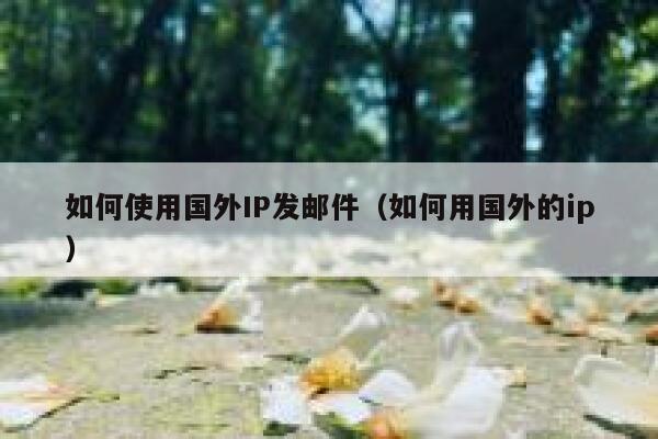 如何使用国外IP发邮件（如何用国外的ip） 第1张