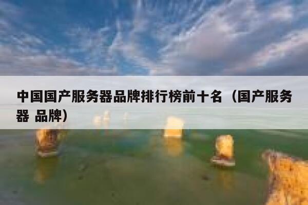中国国产服务器品牌排行榜前十名（国产服务器 品牌） 第1张
