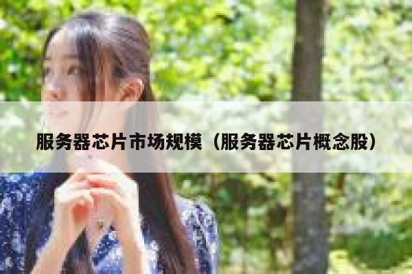 服务器芯片市场规模（服务器芯片概念股） 第1张