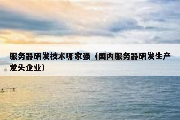 服务器研发技术哪家强（国内服务器研发生产龙头企业） 第1张