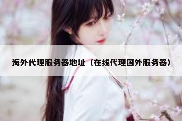 海外代理服务器地址（在线代理国外服务器） 第1张