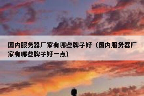国内服务器厂家有哪些牌子好（国内服务器厂家有哪些牌子好一点） 第1张