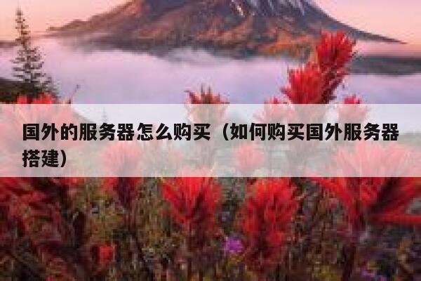 国外的服务器怎么购买（如何购买国外服务器搭建） 第1张