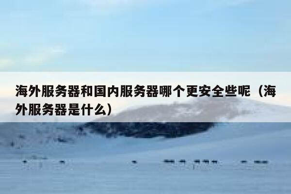 海外服务器和国内服务器哪个更安全些呢（海外服务器是什么） 第1张