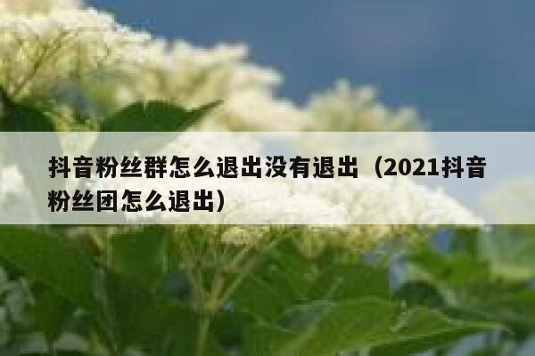 抖音粉丝群怎么退出没有退出（2021抖音粉丝团怎么退出） 第1张