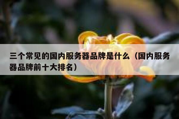 三个常见的国内服务器品牌是什么（国内服务器品牌前十大排名） 第1张