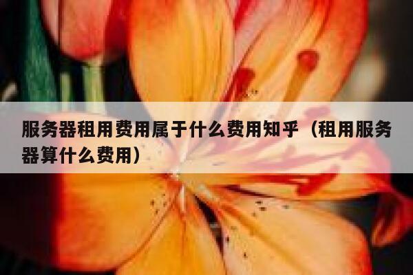 服务器租用费用属于什么费用知乎（租用服务器算什么费用） 第1张
