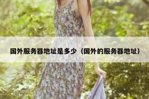 国外服务器地址是多少（国外的服务器地址） 第1张