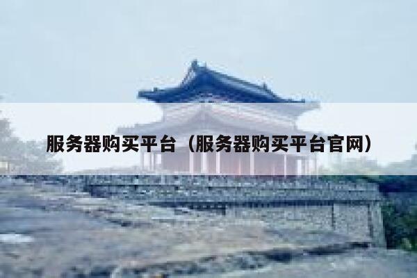 服务器购买平台（服务器购买平台官网） 第1张