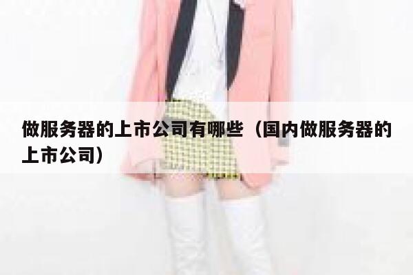 做服务器的上市公司有哪些（国内做服务器的上市公司） 第1张