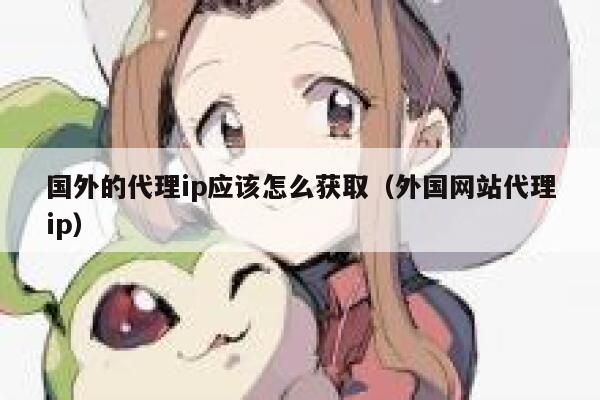 国外的代理ip应该怎么获取（外国网站代理ip） 第1张
