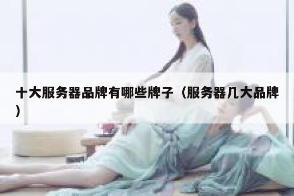 十大服务器品牌有哪些牌子（服务器几大品牌） 第1张