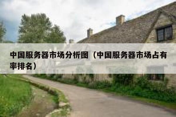中国服务器市场分析图（中国服务器市场占有率排名） 第1张