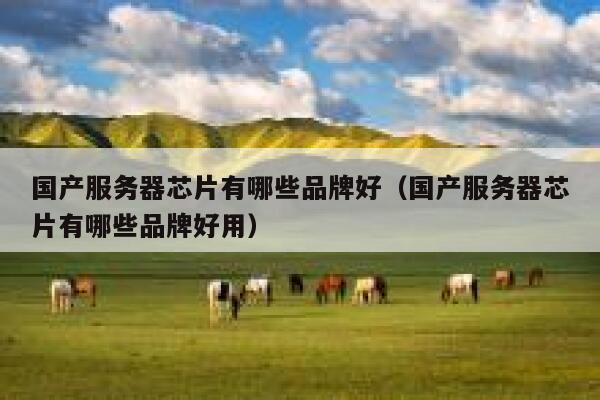 国产服务器芯片有哪些品牌好（国产服务器芯片有哪些品牌好用） 第1张