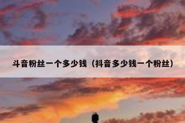 斗音粉丝一个多少钱（抖音多少钱一个粉丝） 第1张