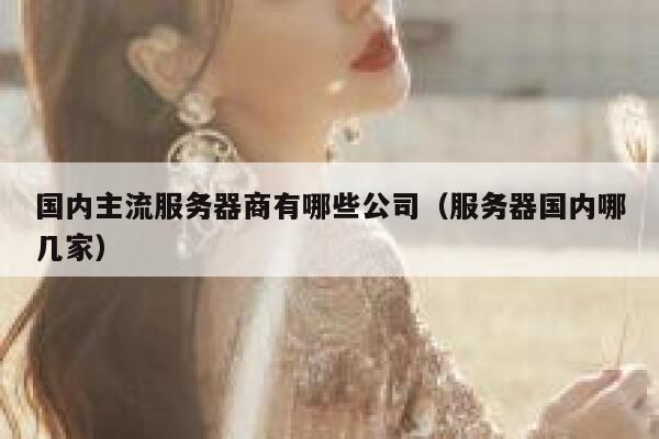 国内主流服务器商有哪些公司（服务器国内哪几家） 第1张