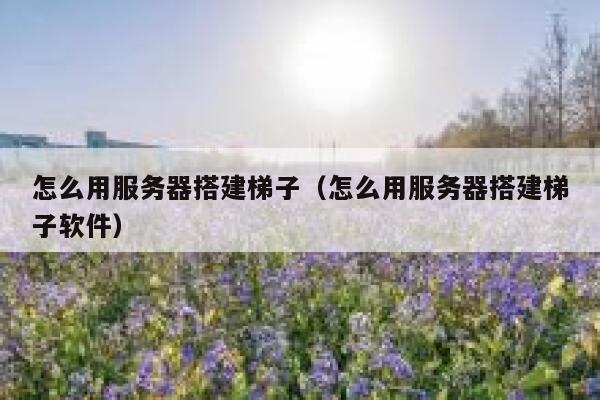 怎么用服务器搭建梯子（怎么用服务器搭建梯子软件） 第1张