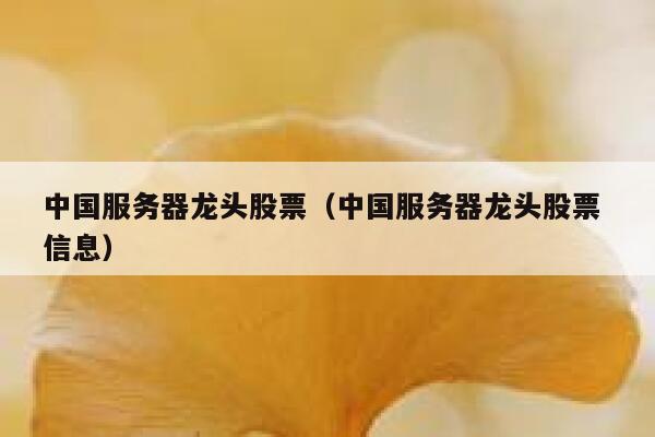 中国服务器龙头股票（中国服务器龙头股票 信息） 第1张