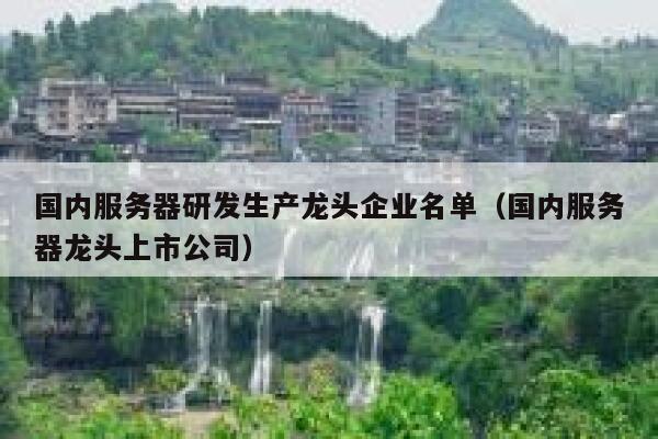 国内服务器研发生产龙头企业名单（国内服务器龙头上市公司） 第1张