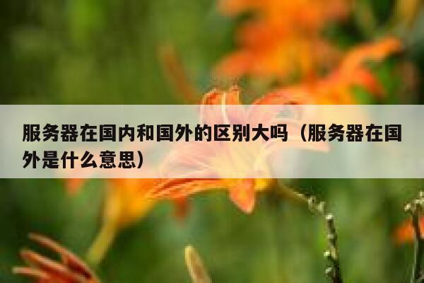 服务器在国内和国外的区别大吗（服务器在国外是什么意思） 第1张