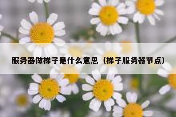服务器做梯子是什么意思（梯子服务器节点） 第1张