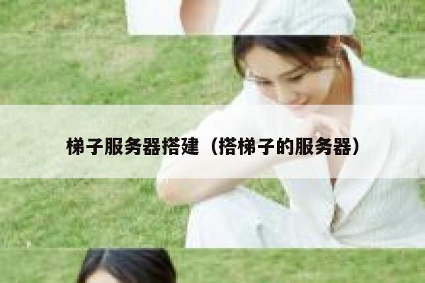 梯子服务器搭建（搭梯子的服务器） 第1张