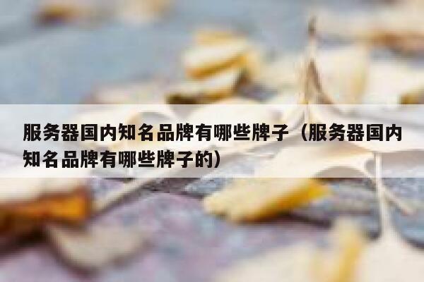 服务器国内知名品牌有哪些牌子（服务器国内知名品牌有哪些牌子的） 第1张