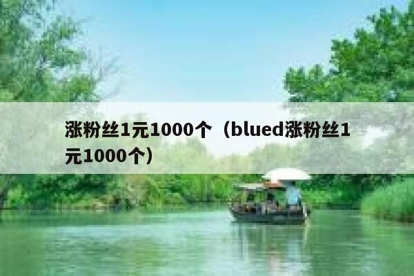 涨粉丝1元1000个（blued涨粉丝1元1000个） 第1张