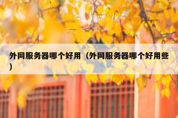 外网服务器哪个好用（外网服务器哪个好用些） 第1张