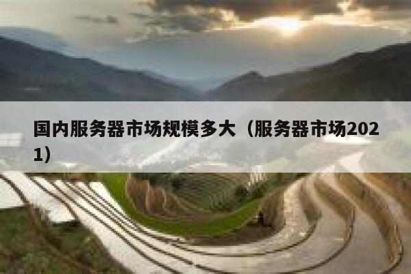 国内服务器市场规模多大（服务器市场2021） 第1张