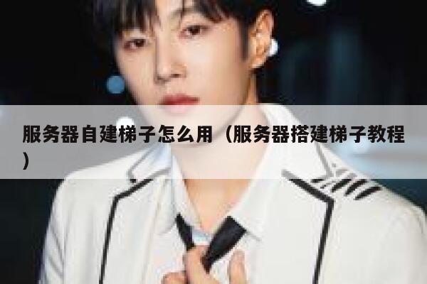 服务器自建梯子怎么用（服务器搭建梯子教程） 第1张