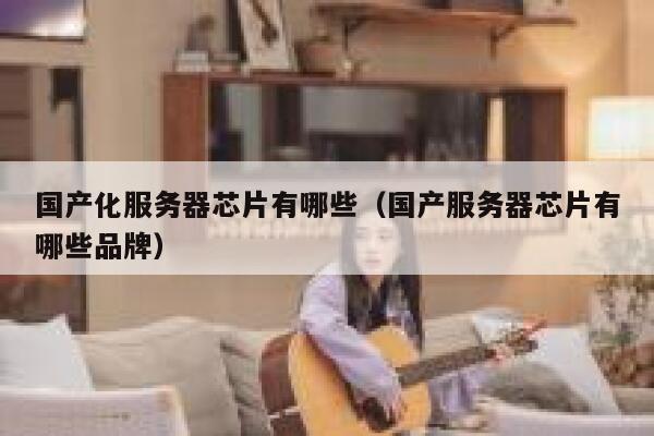 国产化服务器芯片有哪些（国产服务器芯片有哪些品牌） 第1张