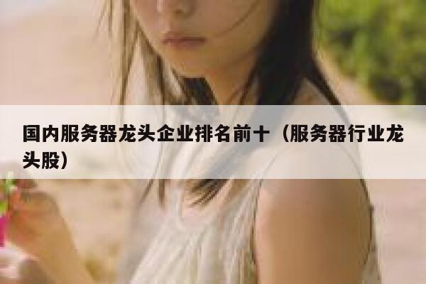 国内服务器龙头企业排名前十（服务器行业龙头股） 第1张