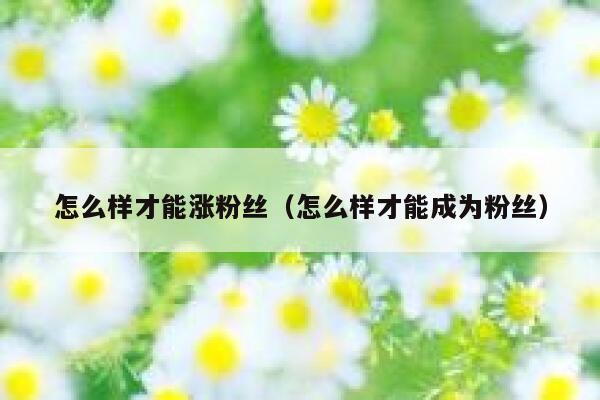 怎么样才能涨粉丝（怎么样才能成为粉丝） 第1张