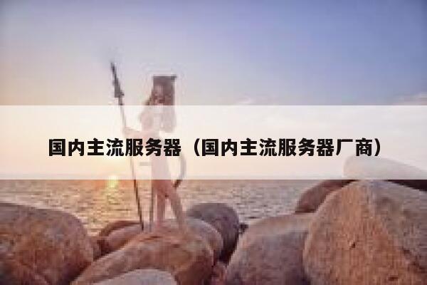 国内主流服务器（国内主流服务器厂商） 第1张