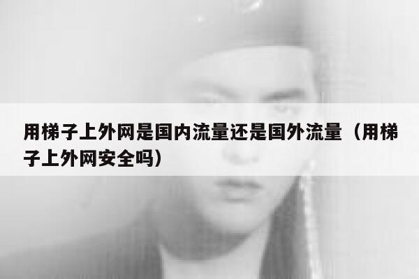 用梯子上外网是国内流量还是国外流量（用梯子上外网安全吗） 第1张