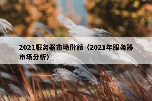 2021服务器市场份额（2021年服务器市场分析） 第1张