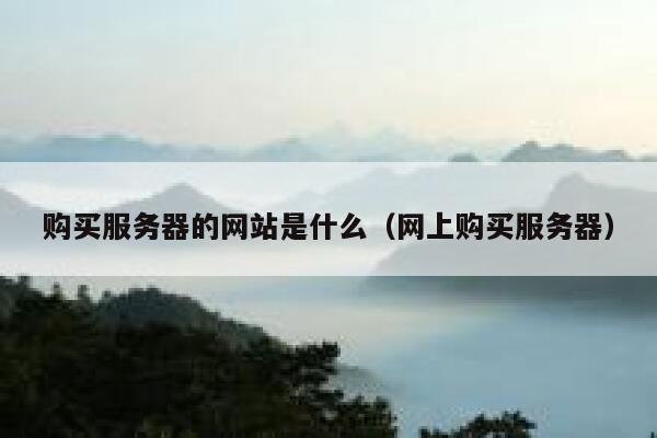 购买服务器的网站是什么（网上购买服务器） 第1张