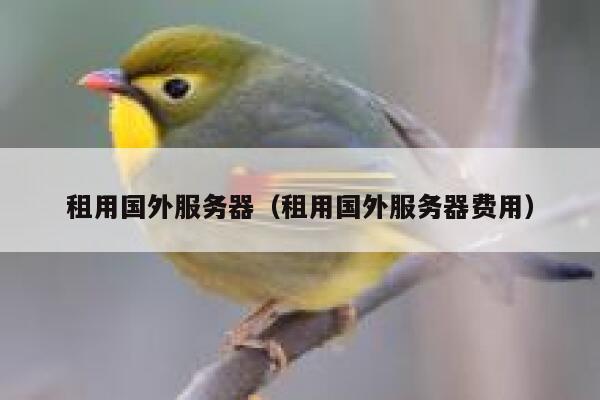 租用国外服务器（租用国外服务器费用） 第1张
