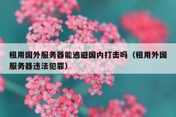 租用国外服务器能逃避国内打击吗（租用外国服务器违法犯罪） 第1张