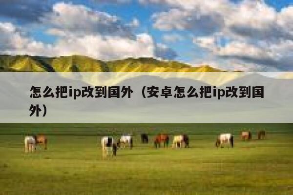怎么把ip改到国外（安卓怎么把ip改到国外） 第1张