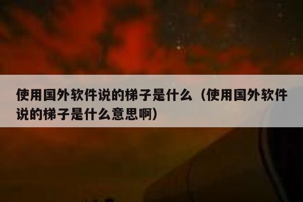 使用国外软件说的梯子是什么（使用国外软件说的梯子是什么意思啊） 第1张