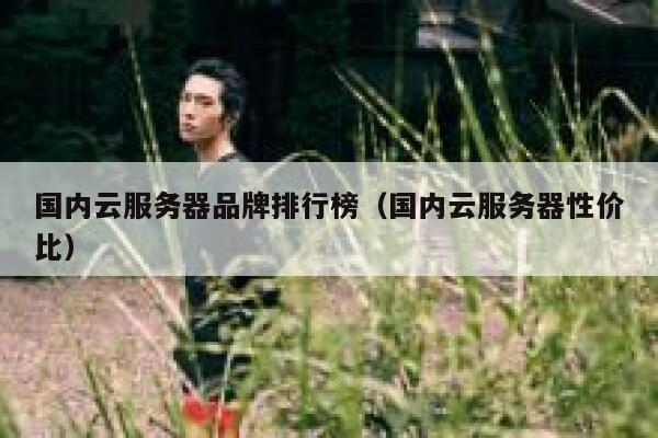 国内云服务器品牌排行榜（国内云服务器性价比） 第1张