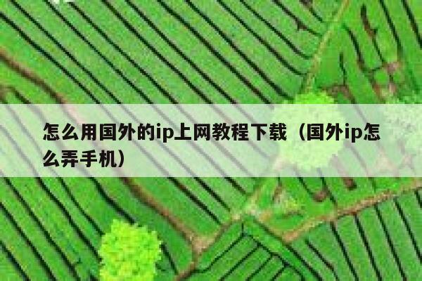 怎么用国外的ip上网教程下载（国外ip怎么弄手机） 第1张