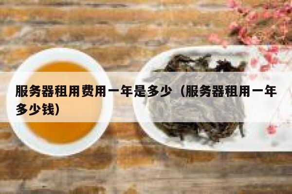 服务器租用费用一年是多少（服务器租用一年多少钱） 第1张