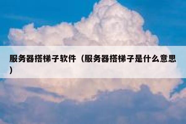 服务器搭梯子软件（服务器搭梯子是什么意思） 第1张