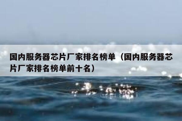 国内服务器芯片厂家排名榜单（国内服务器芯片厂家排名榜单前十名） 第1张