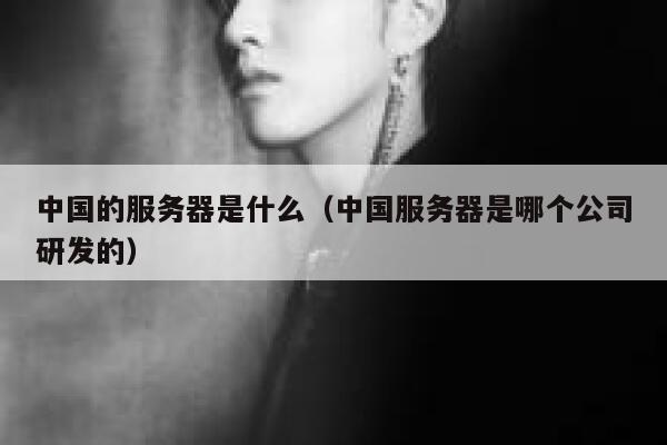 中国的服务器是什么（中国服务器是哪个公司研发的） 第1张
