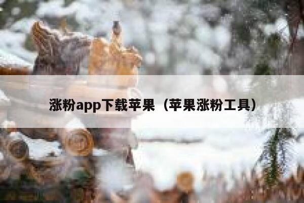 涨粉app下载苹果（苹果涨粉工具） 第1张