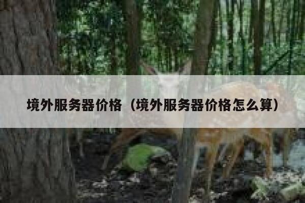 境外服务器价格（境外服务器价格怎么算） 第1张